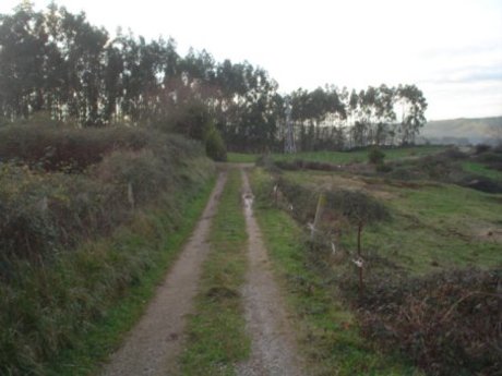 Terrenos